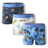 Boy's Dinosaur Printed Underpants