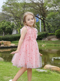 Valentine's Day Love Mesh Dress
