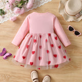 Valentine's Day Love Embroidered Mesh Dress